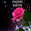 IMAGENES BONITAS