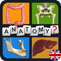 Anatomy Quiz