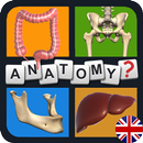 Anatomy Quiz APK