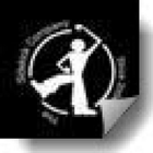 Sidekick icon