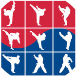 MSB TKD Scout System