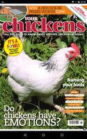Your Chickens Magazine Affiche