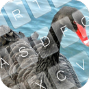 Black Swan Keyboard Theme APK