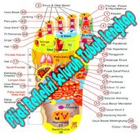 Pijat Refleksi Tubuh Lengkap poster
