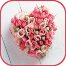 The Best Roses Pictures APK