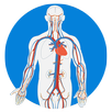 Medical Quiz : Multiplayer APK