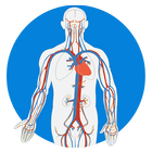 Medical Quiz : Multiplayer icône