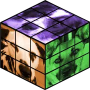 Dogs Rubik's Cube