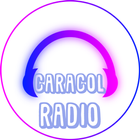 Caracol Radio Bogotá no oficial ícone