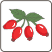 Poisonous Plants APK