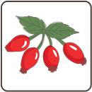 Poisonous Plants APK