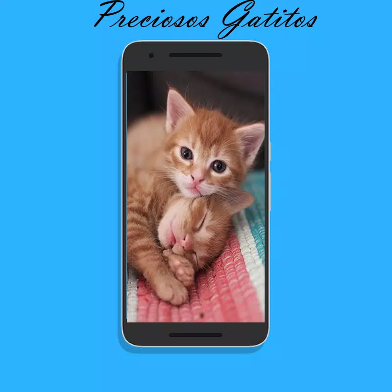 Imagenes de Gatos para fondos de pantalla gratis APK pour Android Télécharger Imagenes de Gatos para fondos de pantalla gratis APK pour Android Télécharger
