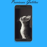 Imagenes de Gatos para fondos de pantalla gratis screenshot 1