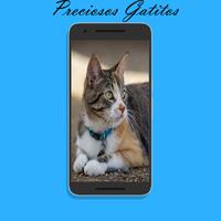 Imagenes de Gatos para fondos de pantalla gratis screenshot 2