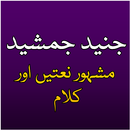 Junaid Jamshed Naat Collection-APK