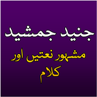 Junaid Jamshed Naat Collection icône