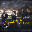 Urdu Shayari on Your Photos APK
