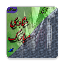 Shade Mubarak Hu (Urdu Book) aplikacja