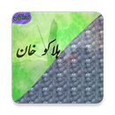Halakuu Khan (Urdu Book) APK