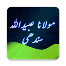 Mulana Ubaidullah Sindhi - Life History APK