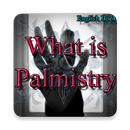 What is Palmistry??? APK