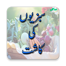 Sabzion Ke Kasht (Vegetable Cultivation) aplikacja
