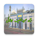 Hazrat Shah Abdul Latif Bhittaai (R.A) (Urdu Book) aplikacja