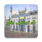 Hazrat Shah Abdul Latif Bhittaai (R.A) (Urdu Book) আইকন