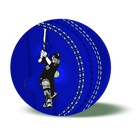 Pak vs WI Live Cricket HD icono