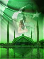 Pakistan Flag/14 August Photo Frames screenshot 1