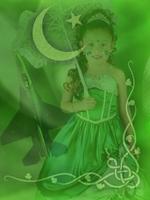 Pakistan Flag/14 August Photo Frames скриншот 2