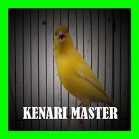 Master KICAU KENARI JAWARA Gacor screenshot 3