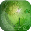 Pakistan Flag Face Editor Independence Day Frames
