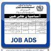 ”Pakistan Jobs