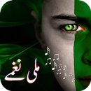 Pakistani Milli Naghamay Pakistan Independence Day APK