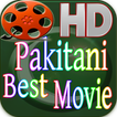 pakistani best movie