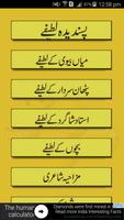 Urdu Jokes スクリーンショット 1