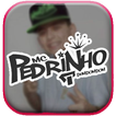 MC Pedrinho Songs