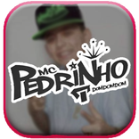 MC Pedrinho Musica Letras