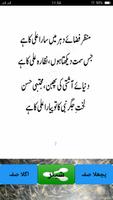 برنامه‌نما peer naseer ud din kalam عکس از صفحه