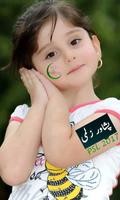 Pakistan Cricket Face maker screenshot 1