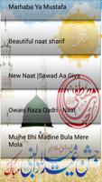 Jashn e milad un nabi naats screenshot 2