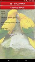 Birds screenshot 3