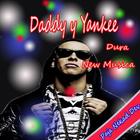Dura lyrics Daddy Yankee icône