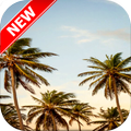 Palm Tree Wallpapers