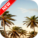 Fond d'écran Palm Tree APK