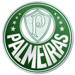 Noticias do Palmeiras - Meu Verdão!