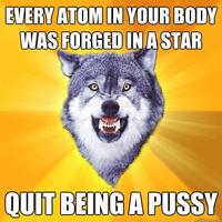 Poster Cheer up with motivation Wolf