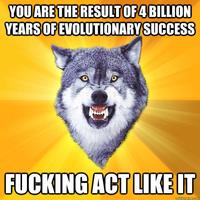 Cheer up with motivation Wolf screenshot 1