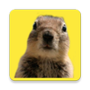 Photobomb maker editor APK
